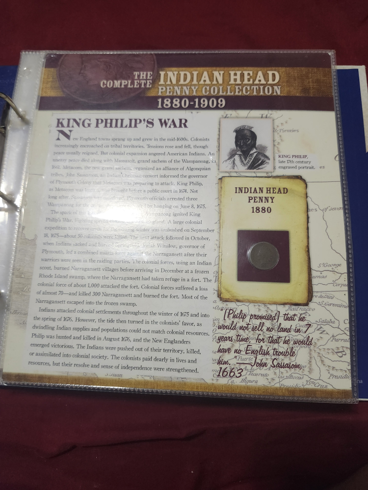 Indian Head Penny Collection 1880-1909