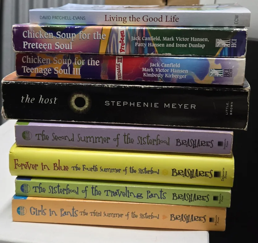 Stack of Books: Chicken Soup, Sisterhood, The Host thumbnail