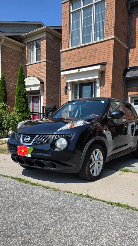 Nissan Juke 2011 thumbnail