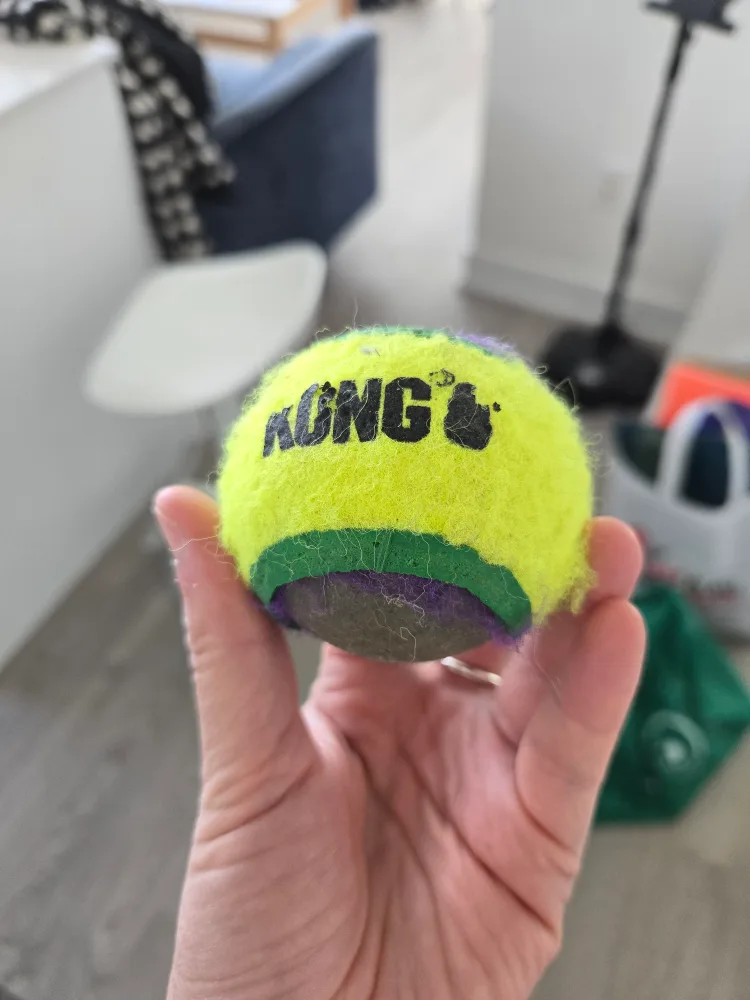 Kong Tennis Ball for Dogs thumbnail