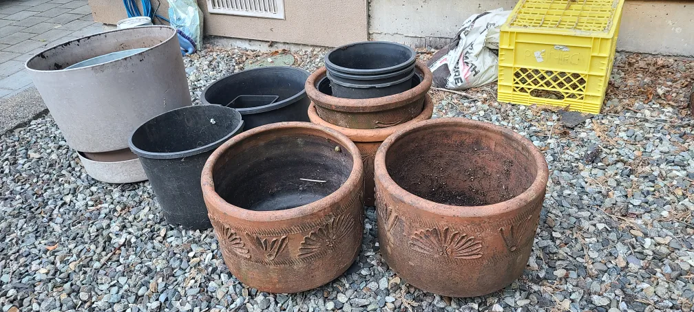 Free Assorted Used Garden Pots