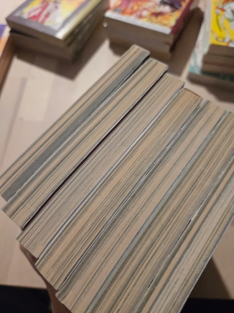 Tokyo Babylon Manga Series by CLAMP image indicator(3)