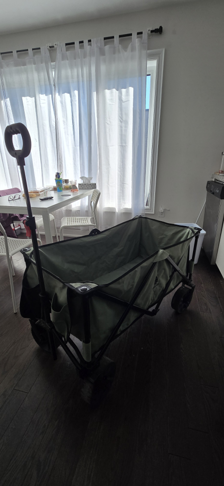 Folding Wagon - Green