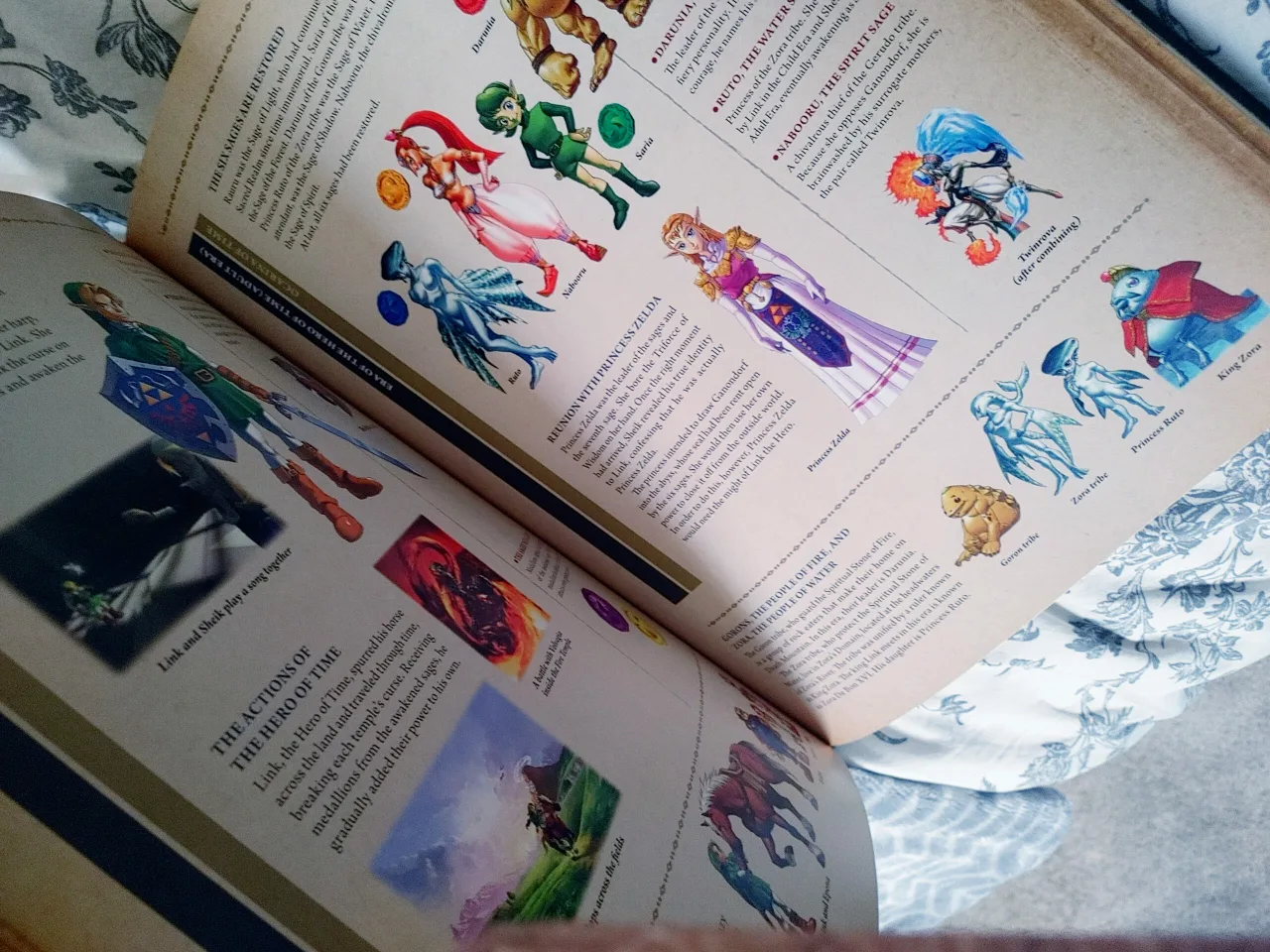 Zelda Collector's Books (double set) image indicator(4)