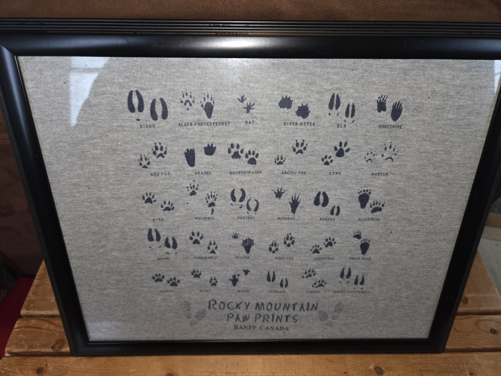 Framed Rocky Mountains Paw Prints