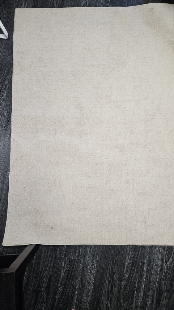 Used Area Rug size 4×6