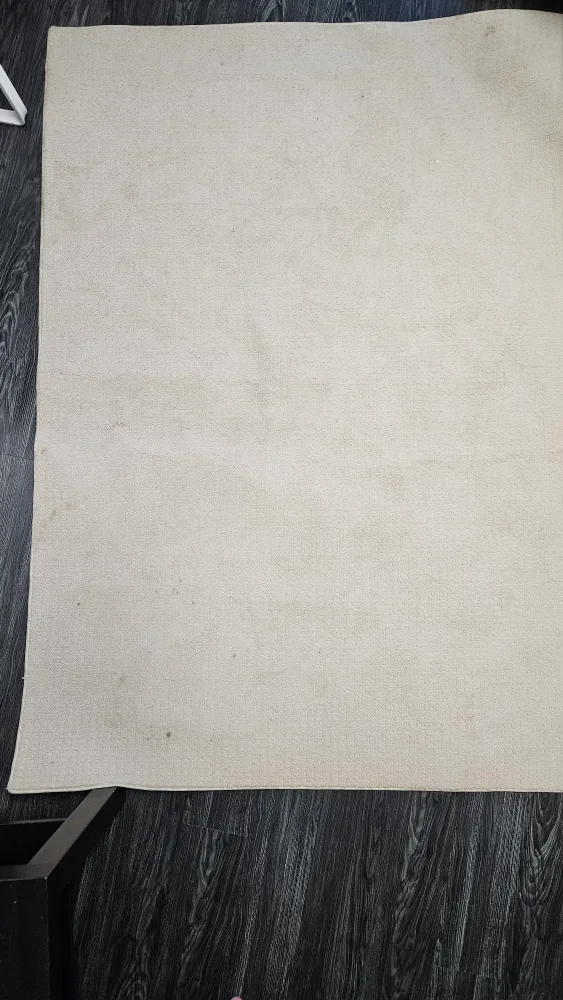 Used Area Rug size 4×6 thumbnail