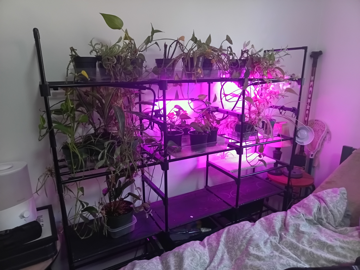 Black Metal Plant/Shoe Rack - photo 3