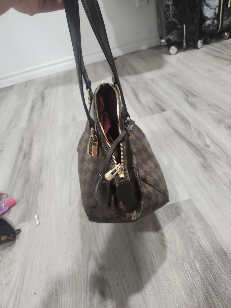 Louis Vuitton Damier Ebene Speedy 25 - photo 3