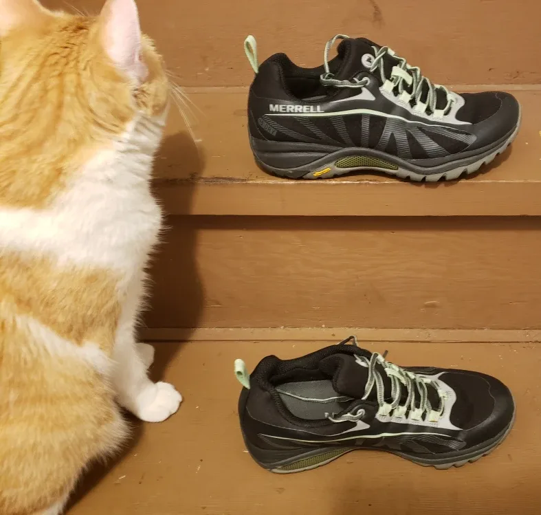 Merrell All Out Blaze Aero Women's Trail Shoes image indicator(4)