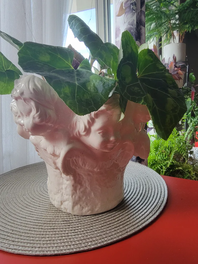 Angel Face Ceramic Planter image indicator(3)