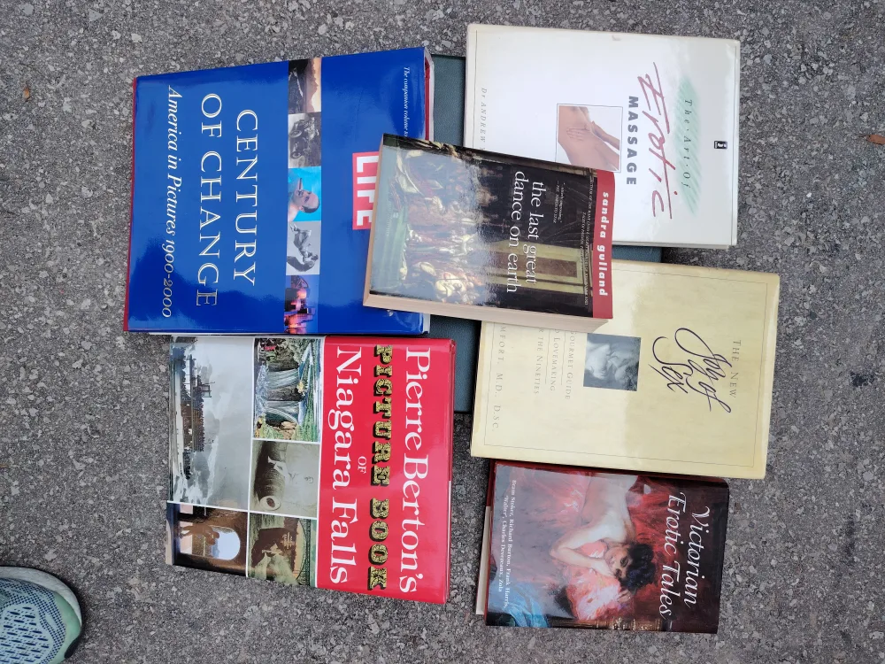 Lot of Assorted Books image indicator(2)