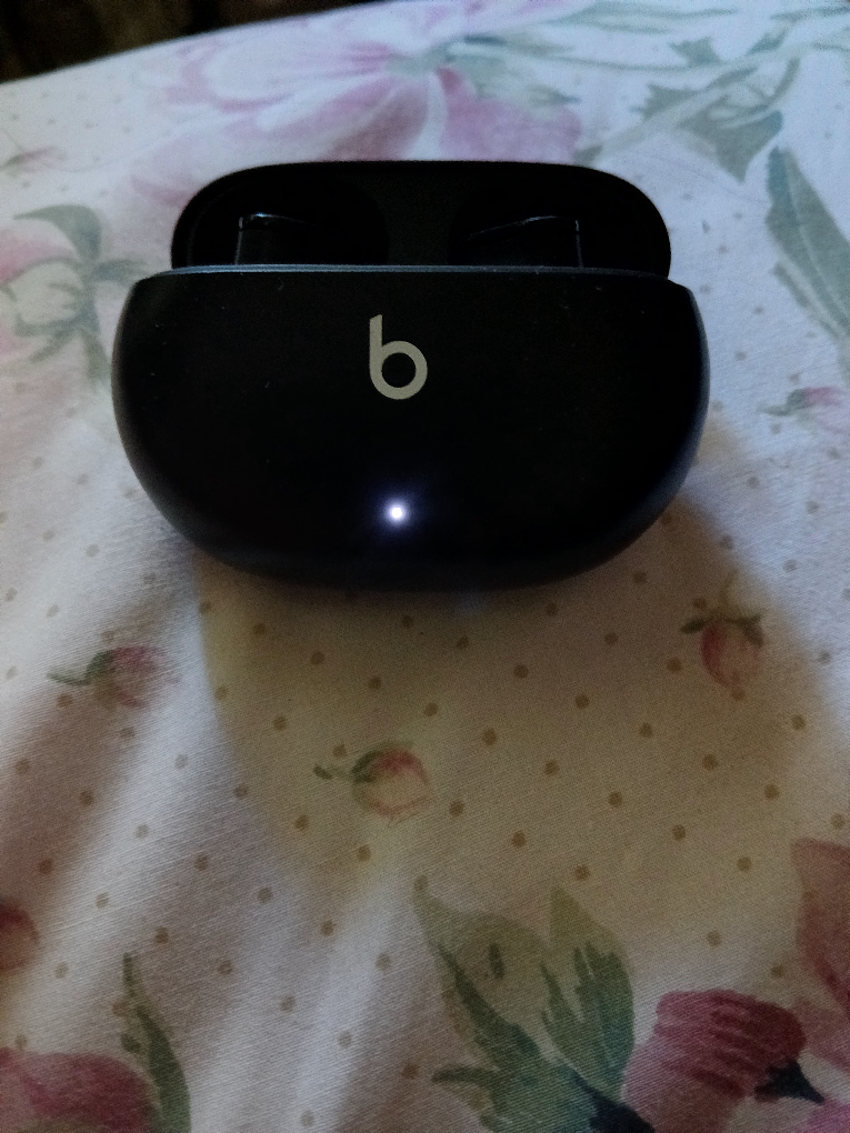 Beats Studio Buds - Black - photo 4