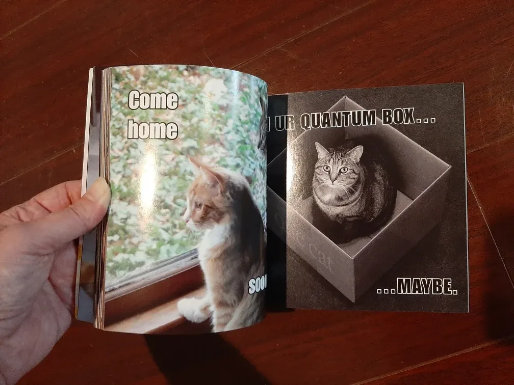 "I Can Has Cheezburger?" LOLcat Collection Book image indicator(3)