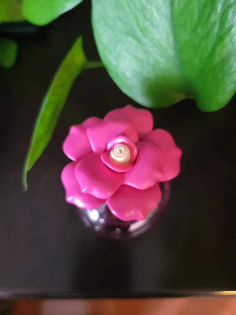 Dolce & Gabbana Dolce Lily image indicator(2)