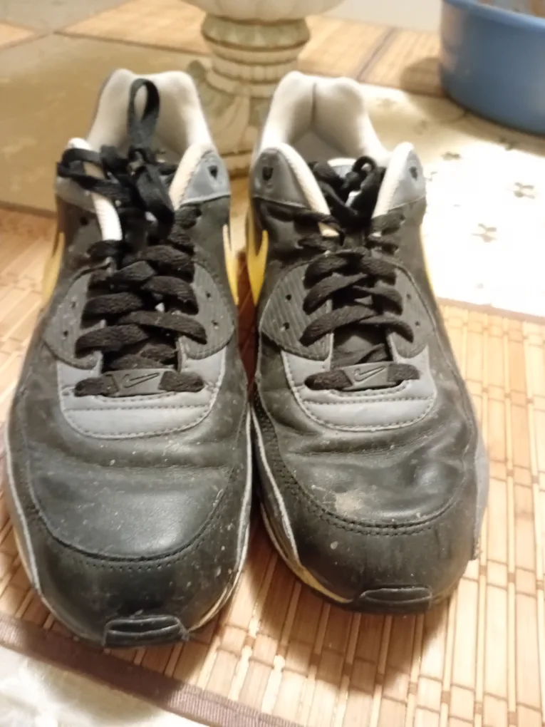 Nike Air Max Sneakers thumbnail