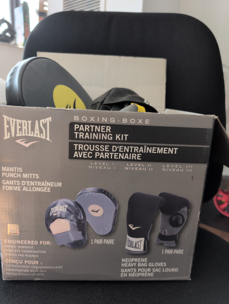 Everlast Boxing Partner Training Kit