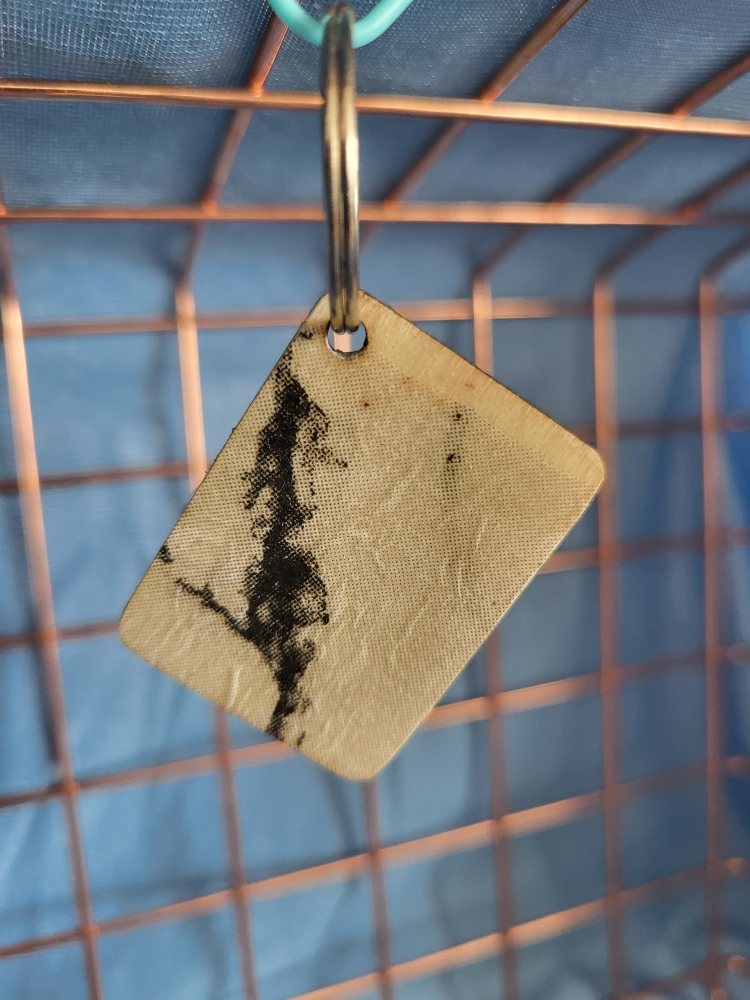 Wood Keychains