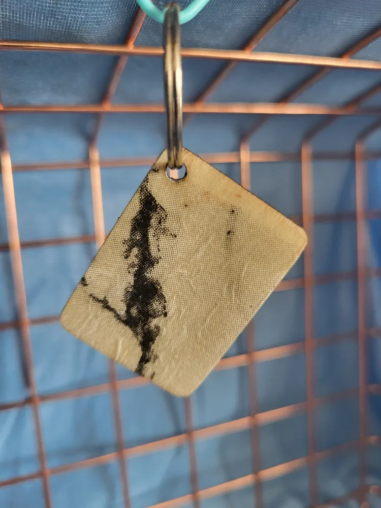Wood Keychains thumbnail
