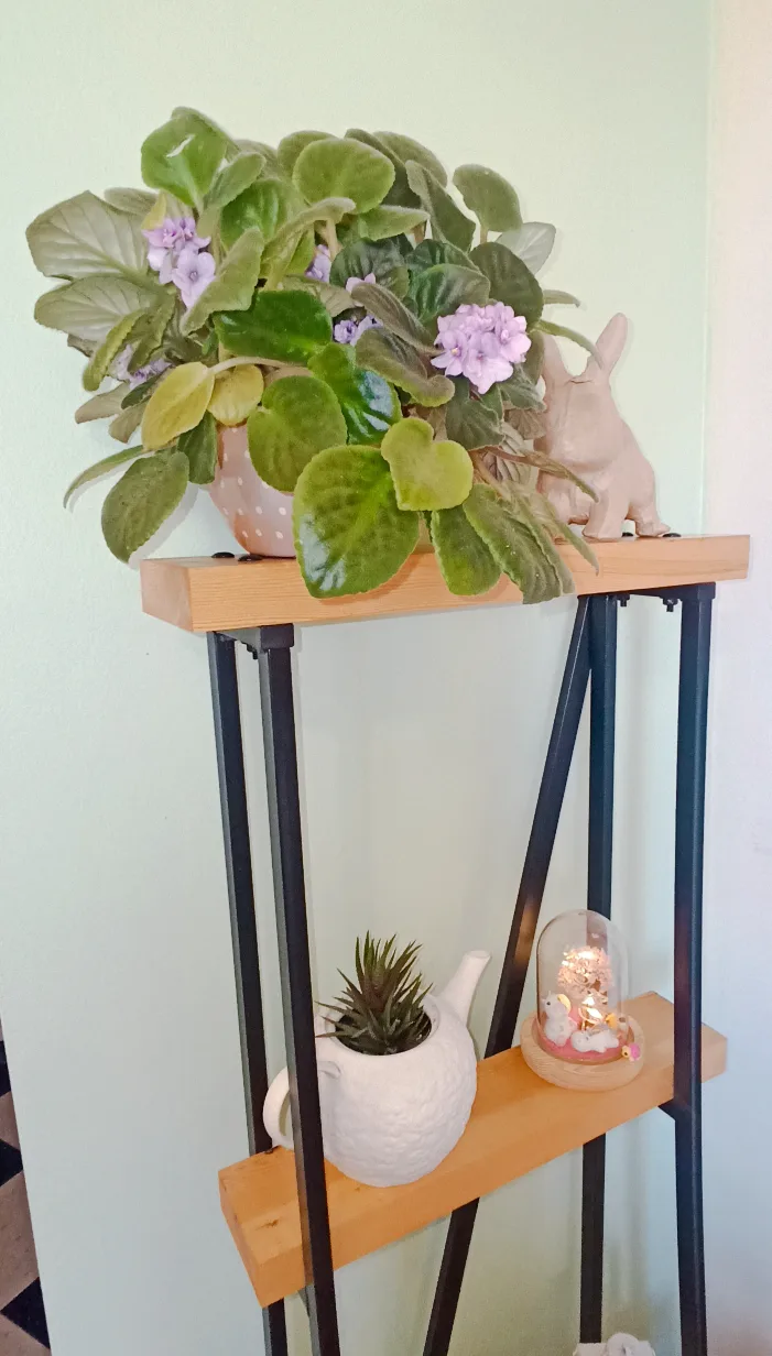 ❤‍🔥SALE❤‍🔥Unique designer shelf, Handmade image indicator(5)