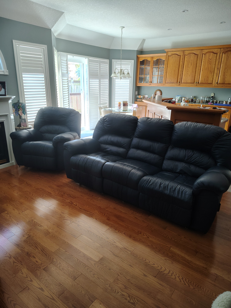 Palliser Navy Leather Reclining Sofa & Chair. Both for $500.