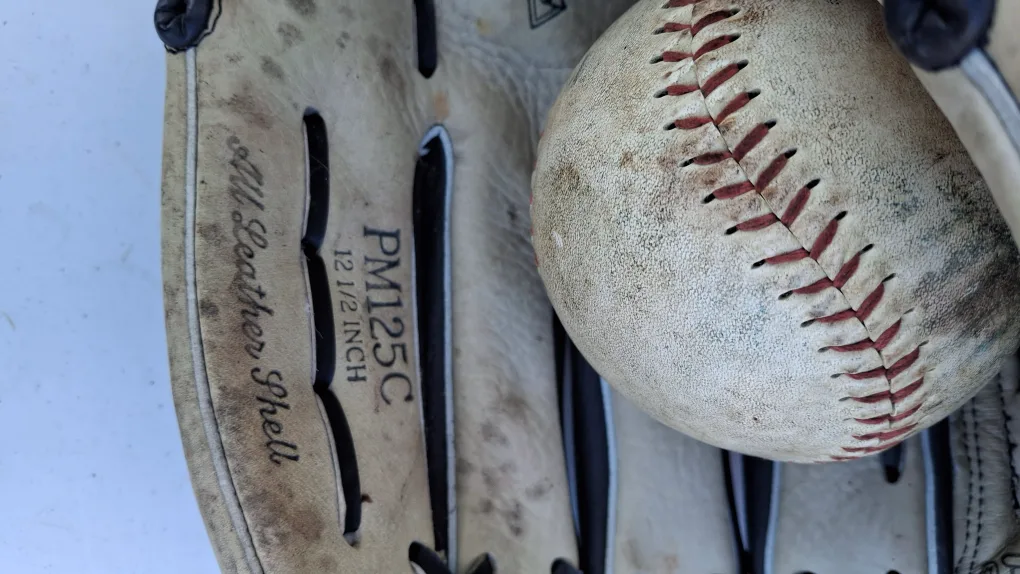 Rawlings PM125C Baseball Glove 12 1/2" image indicator(4)