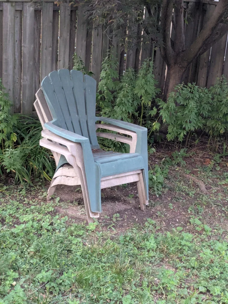 Artwork image indicator(4)