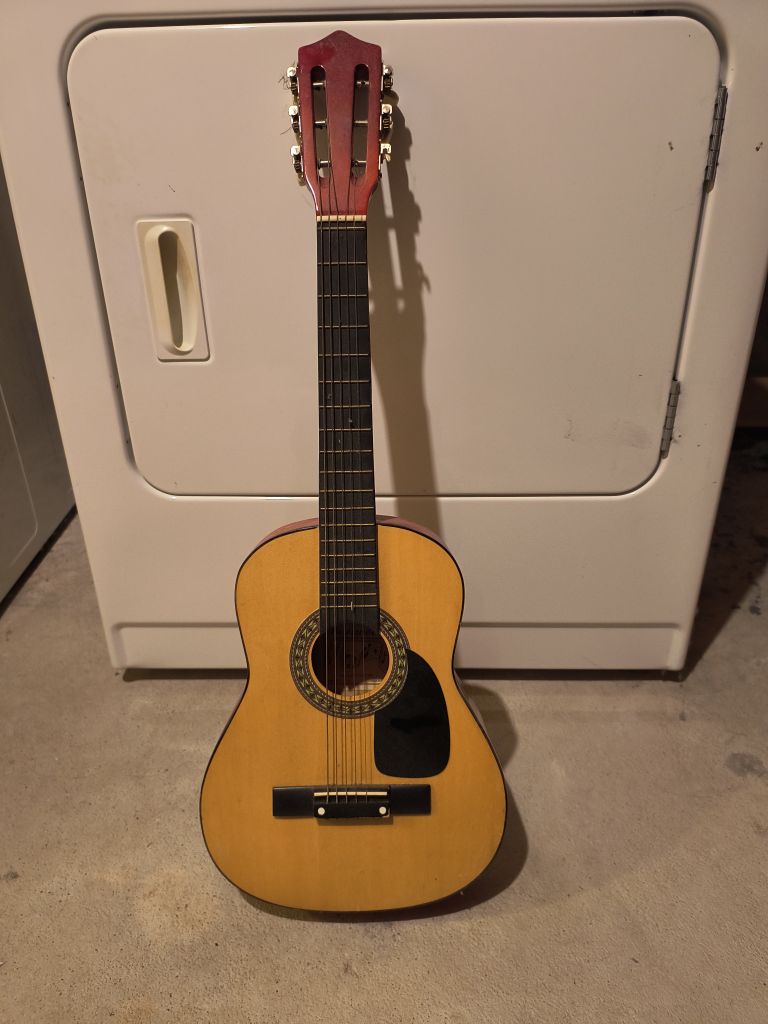 Acoustic Guitar