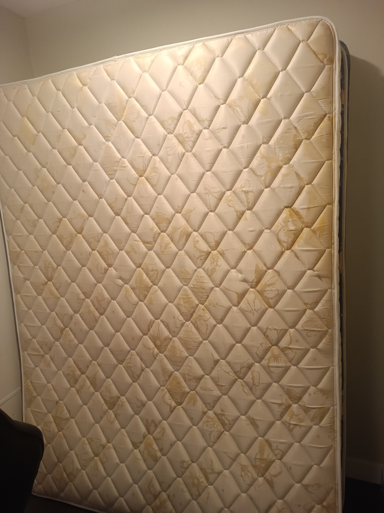 Used Mattress
