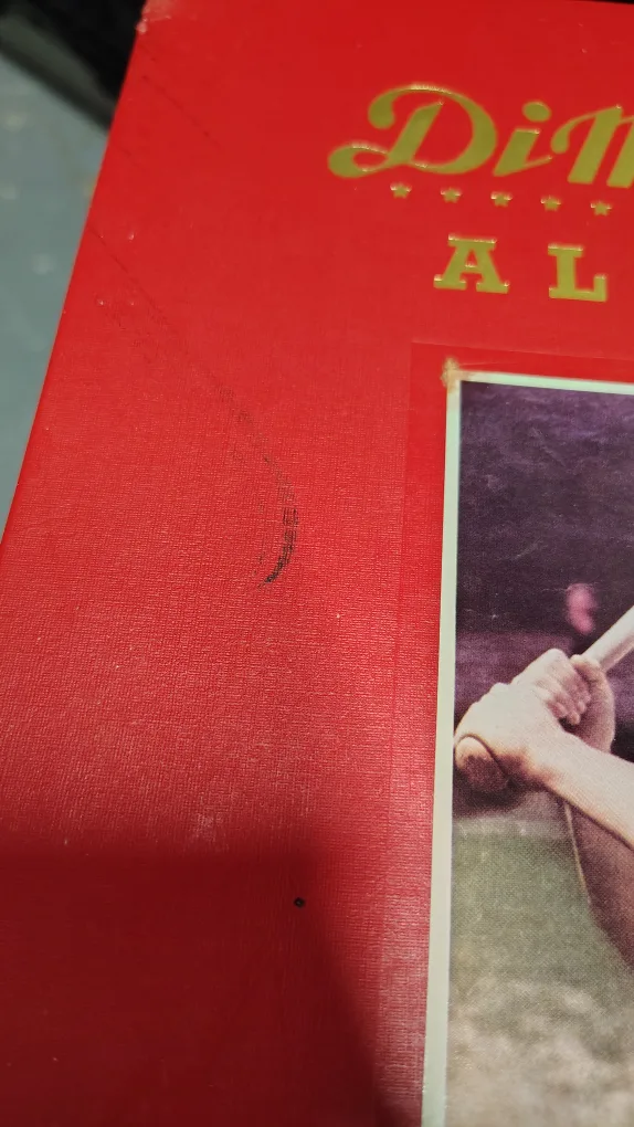 The DiMaggio Albums, Volumes 1 & 2, Putnam image indicator(5)