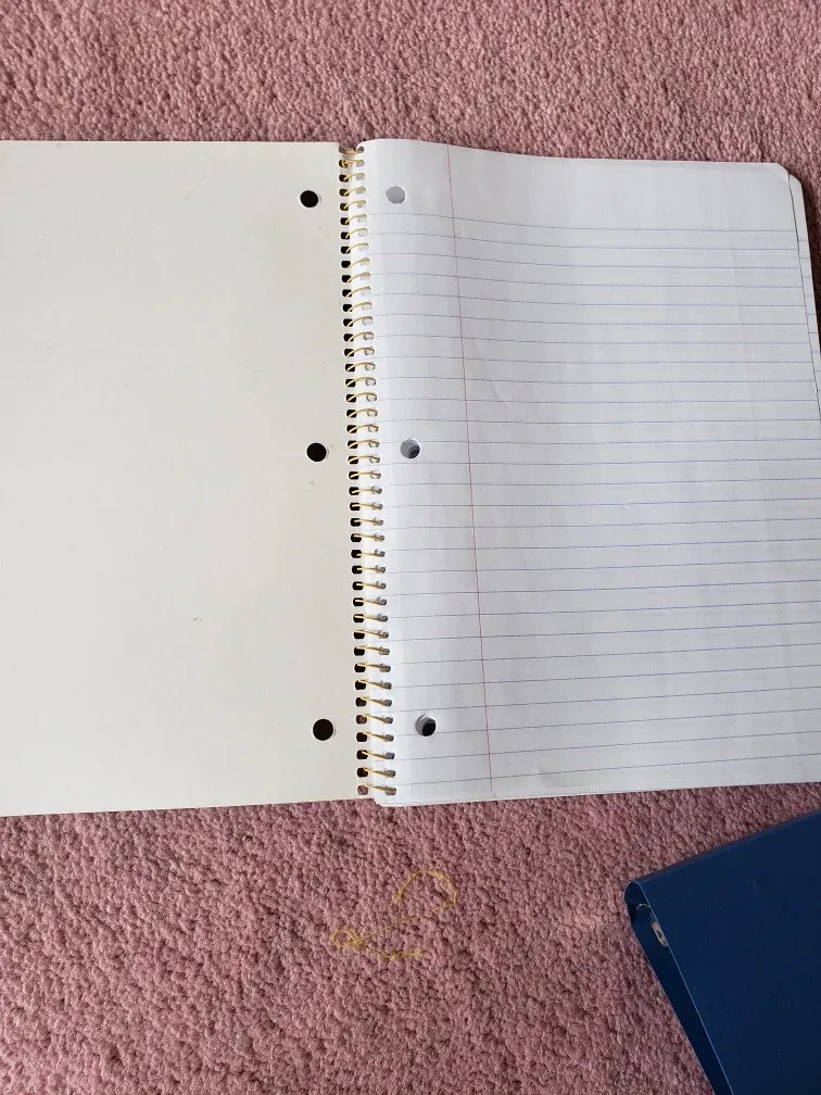 Despicable Me 2 Wide Ruled Notebook image indicator(3)