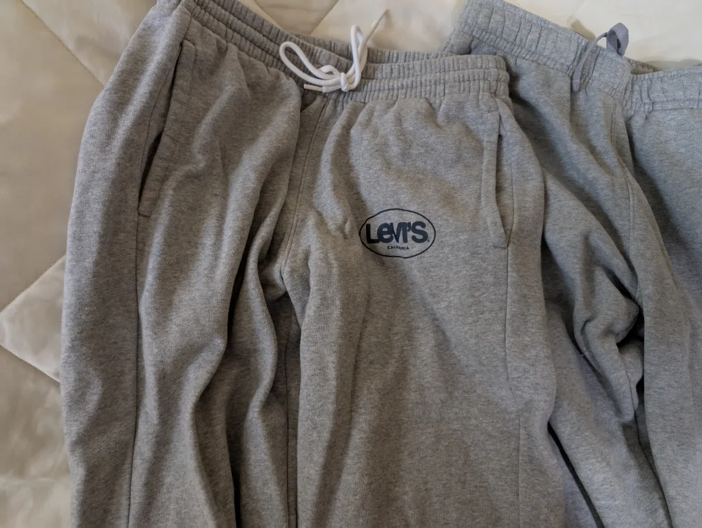 Nike, Champion, Levi's Grey Sweatpants - Size M image indicator(2)
