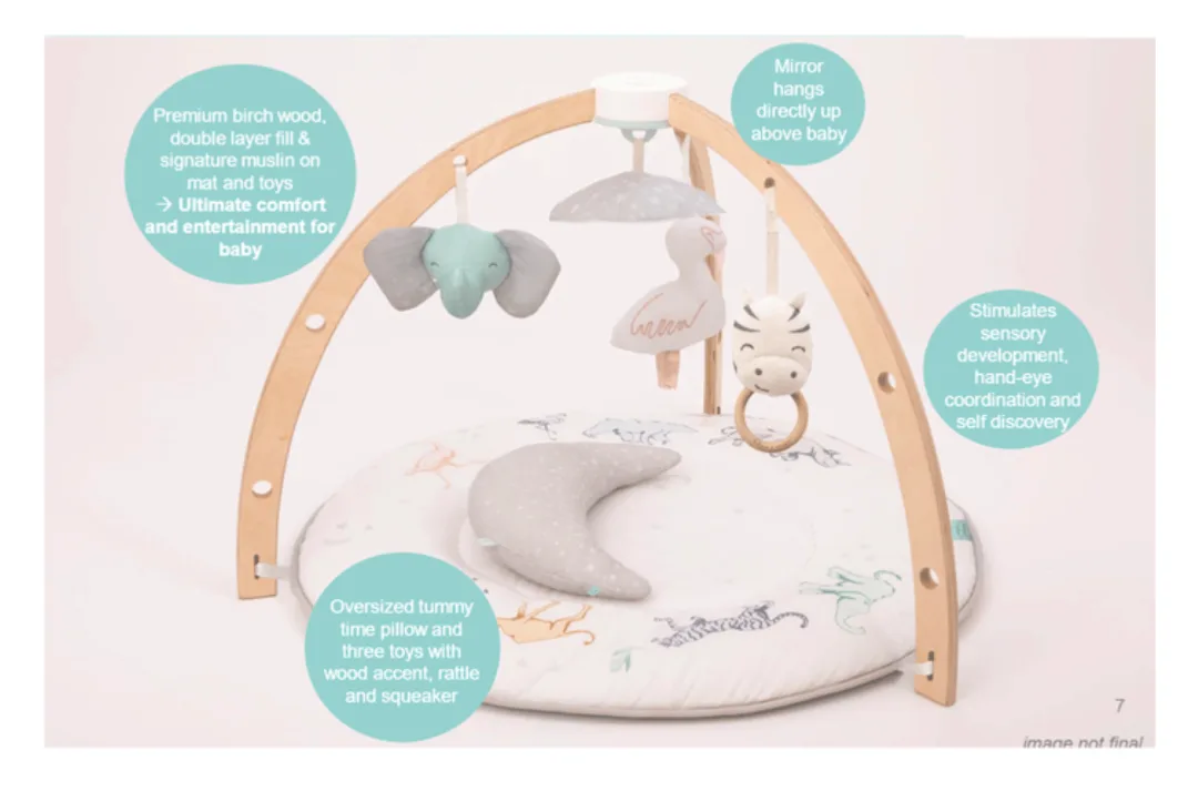 Aden + Anais Baby Play Activity Gym Mat image indicator(5)