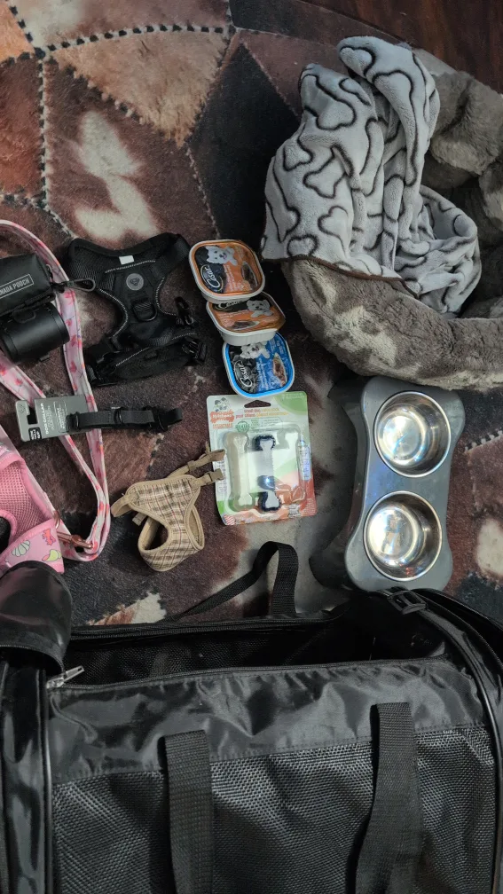 Dog Accessories Bundle image indicator(2)