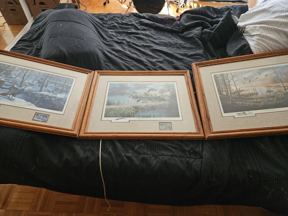 Ken Zylla Framed Art Prints - Set of 3 thumbnail
