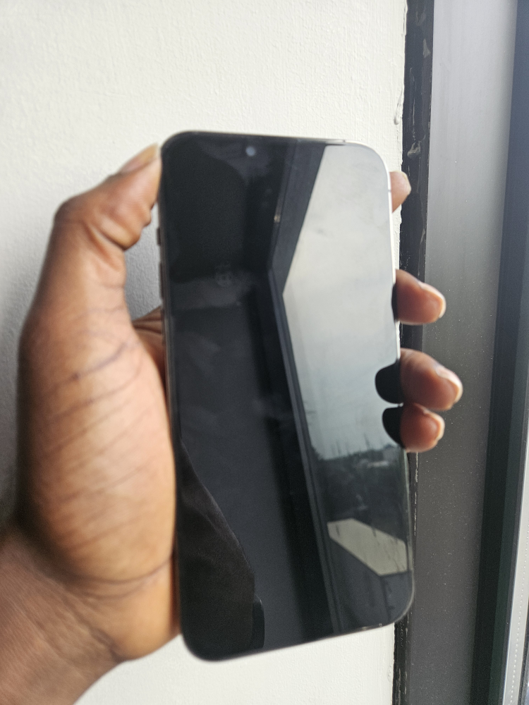 Apple iPhone 13 Pro Max - Graphite - photo 4