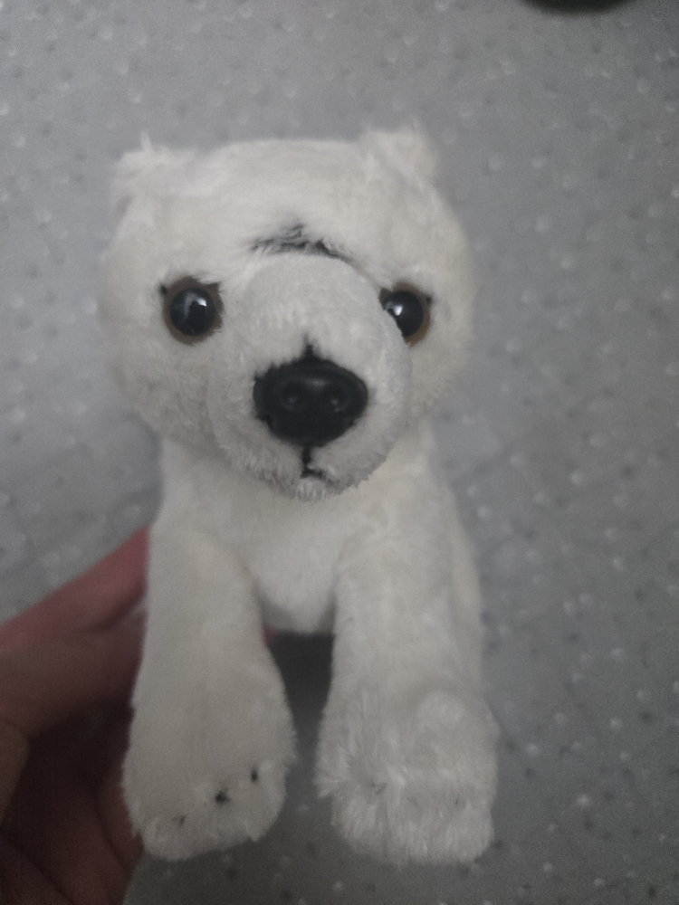 Polar Bear Plush Toy