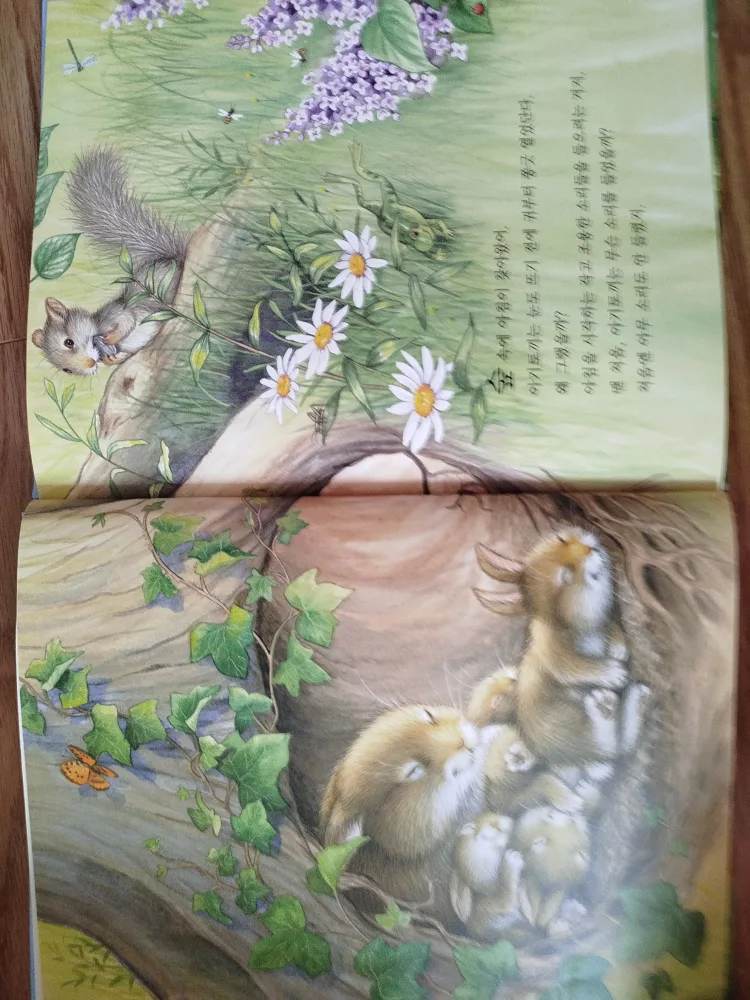 아가토끼의 시끄러운 하루 (A Baby Rabbit's Noisy Day) image indicator(2)