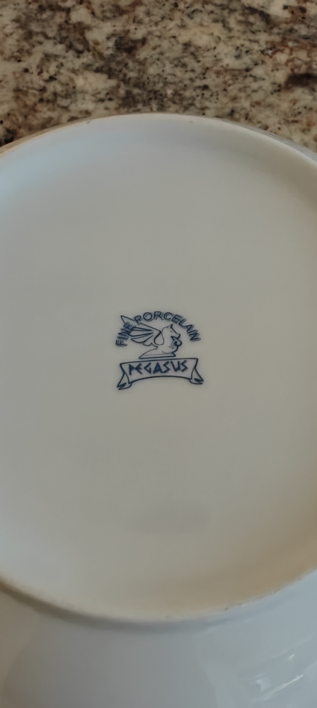 Pegasus Fine Porcelain Dinnerware Set - photo 2