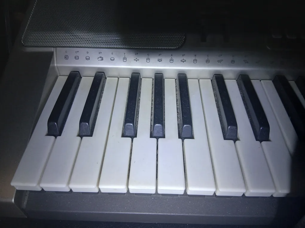 Electric Piano Keyboard thumbnail