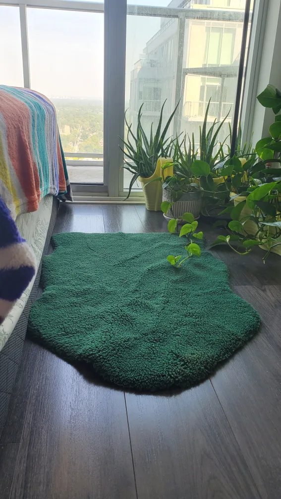 3 Dark Green Rug in the price of 1 thumbnail