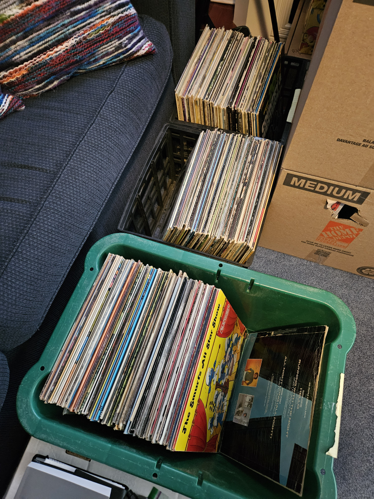 Vintage Vinyl Records