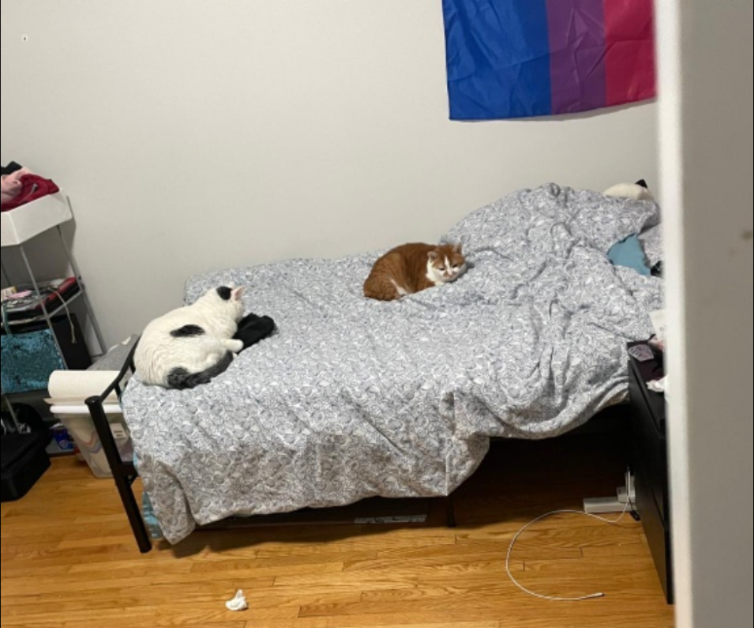 Twin Bed Frame & Mattress - photo 4