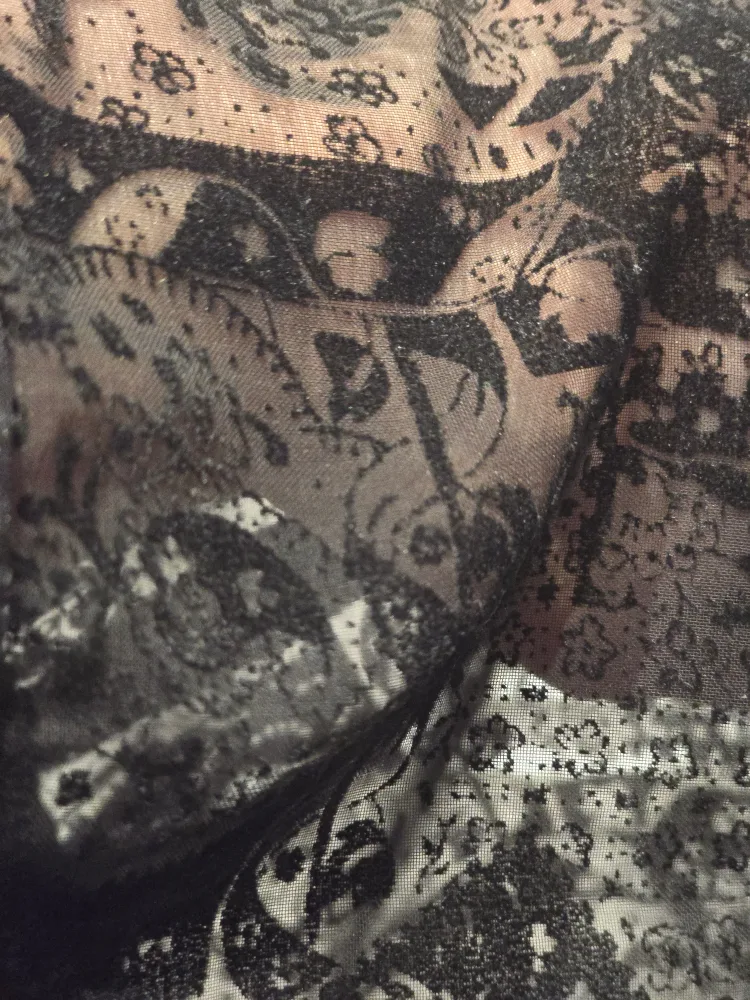 Black Lace Overlay A-Line Dress image indicator(2)