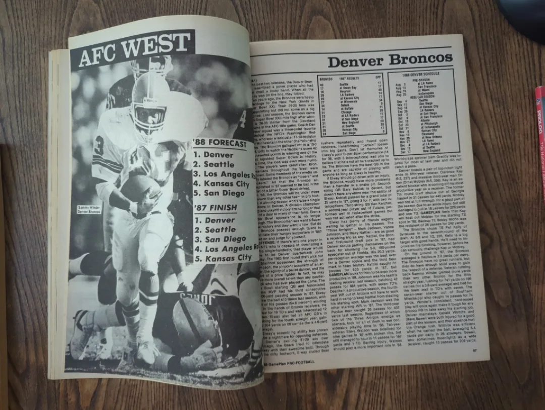 Game Plan Pro Football 1988 Annual Preview image indicator(5)