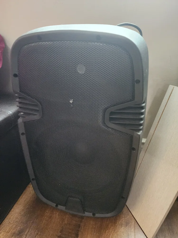 Acoustic Audio BT-1501 Speaker