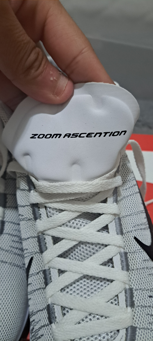 Nike Zoom Ascension Basketball Shoes - photo 4