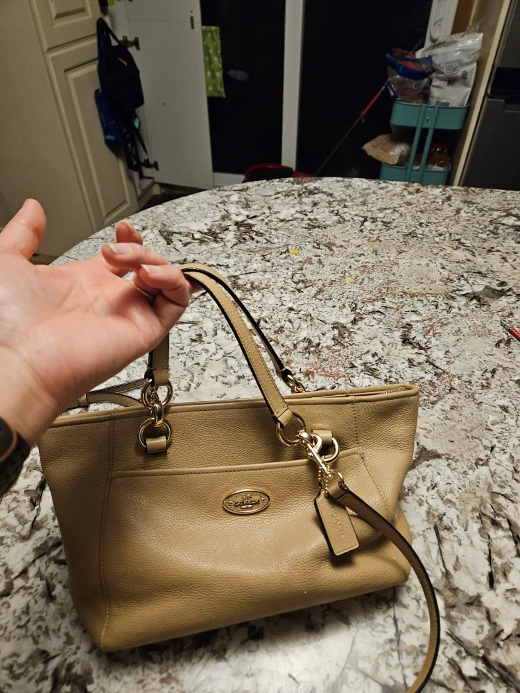 Coach Beige Leather Handbag image indicator(5)