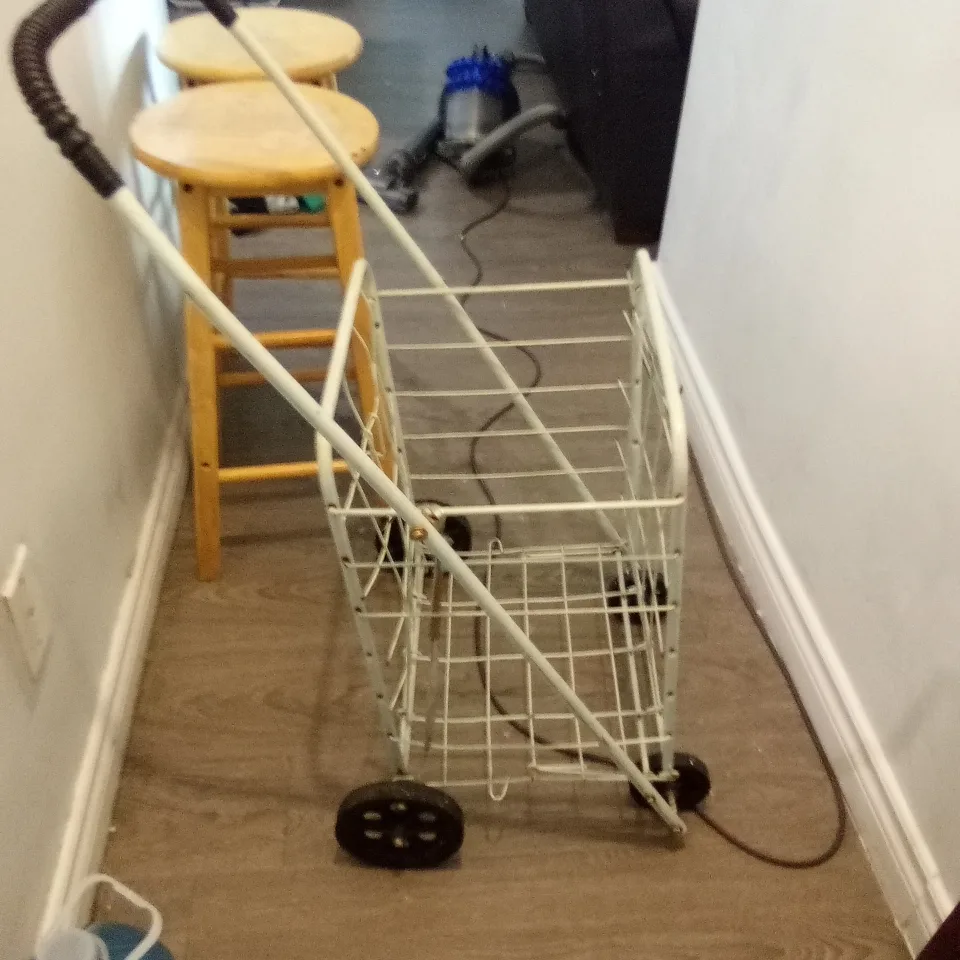 Folding Shopping Cart