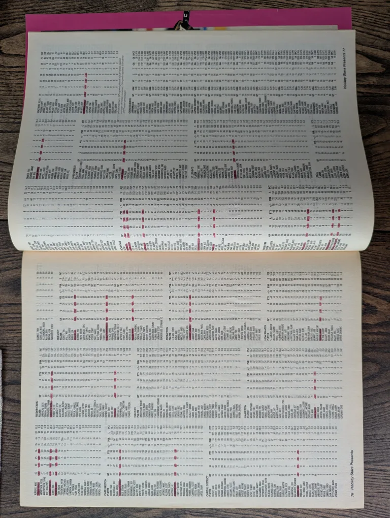 Hockey Stars Presents #29 Magazine image indicator(5)